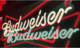 Budweiser - Palco